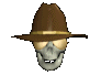 rotating skull with a hat